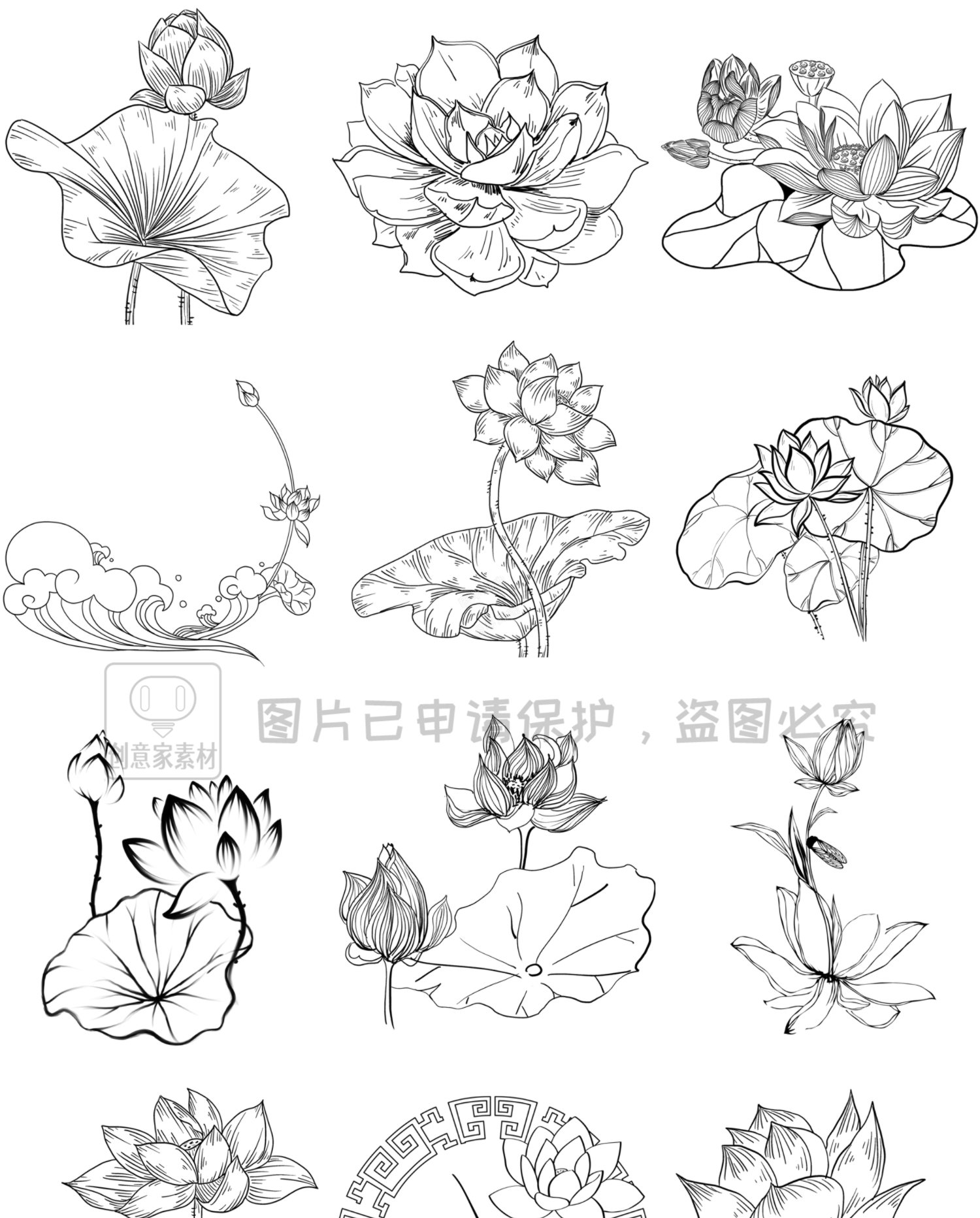 中式古典荷花荷叶造型辅助线稿PS-SAI2笔刷预设procreate画笔素材3.jpg