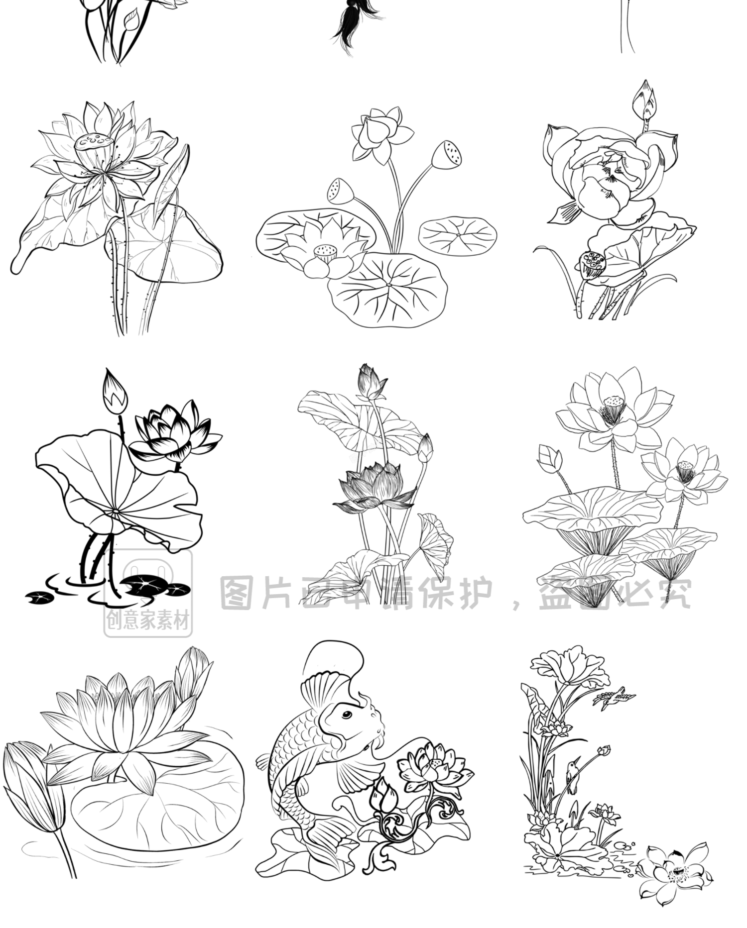 中式古典荷花荷叶造型辅助线稿PS-SAI2笔刷预设procreate画笔素材5.jpg