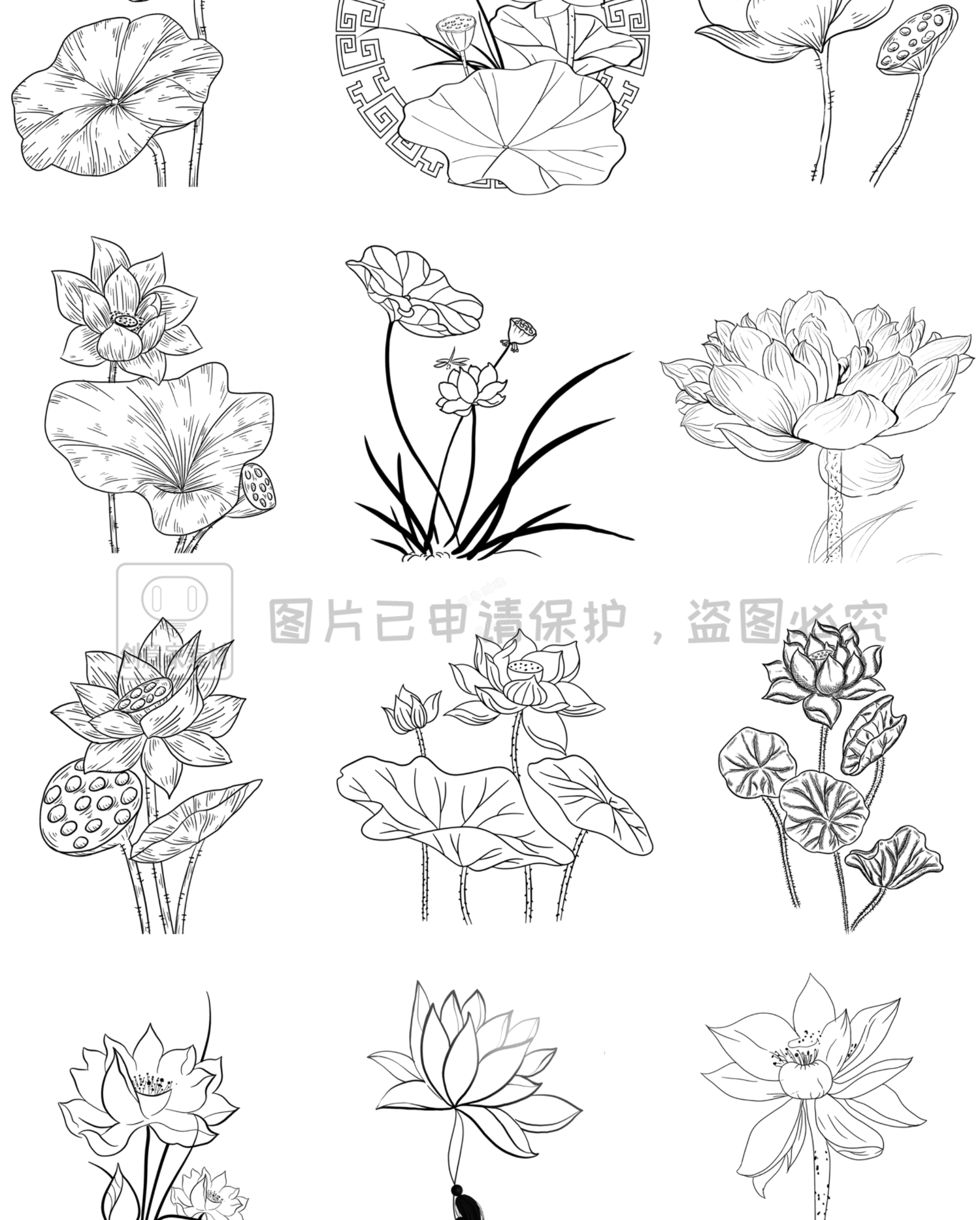 中式古典荷花荷叶造型辅助线稿PS-SAI2笔刷预设procreate画笔素材4.jpg