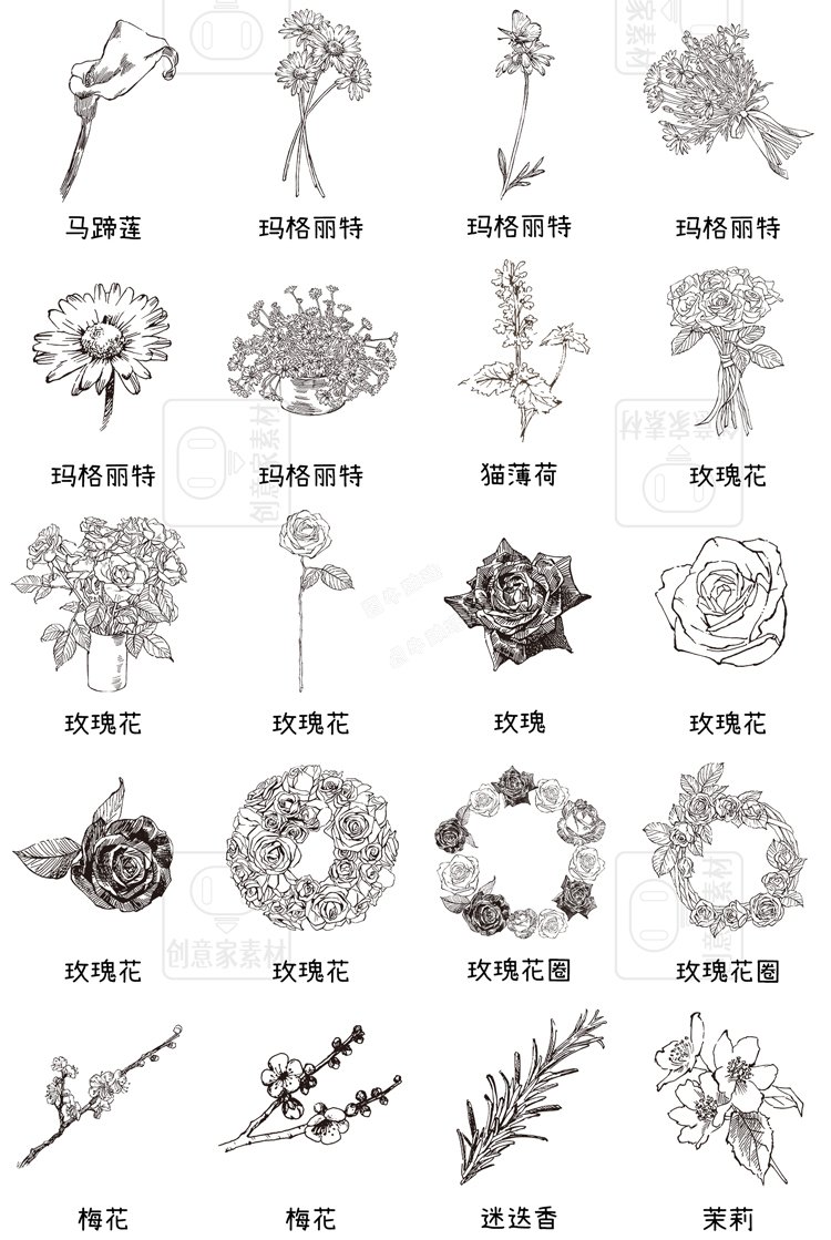 花草植物钢笔手绘描线稿PS笔刷procreate画笔附带AI矢量图案素材4.jpg